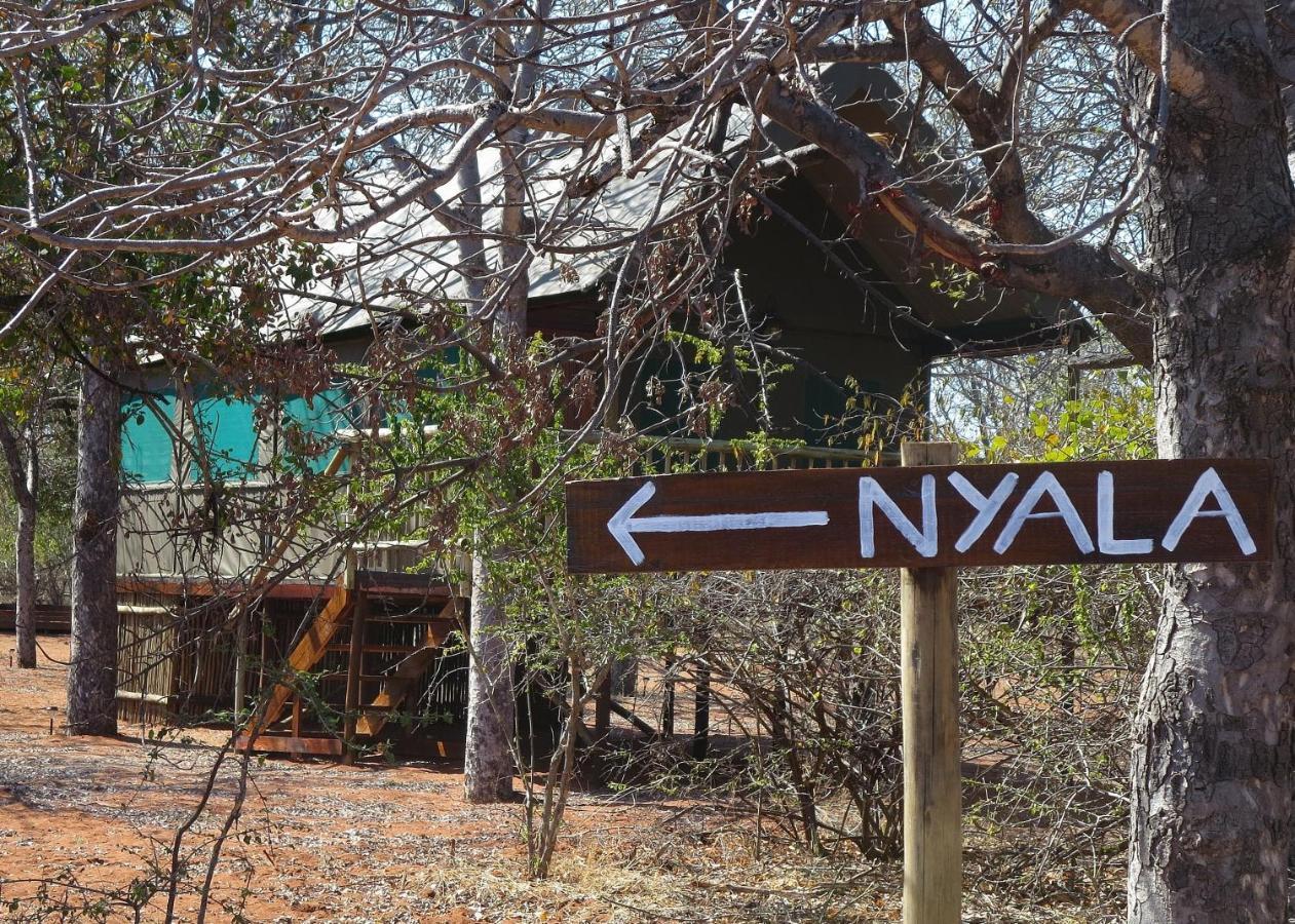 Iphofolo Lodge & Tented Camp Vivo Kültér fotó