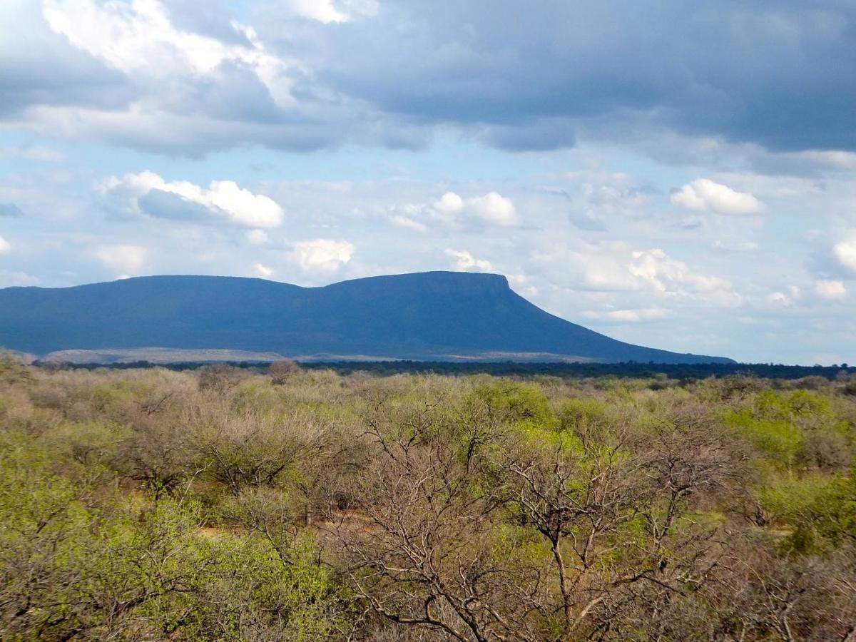 Iphofolo Lodge & Tented Camp Vivo Kültér fotó