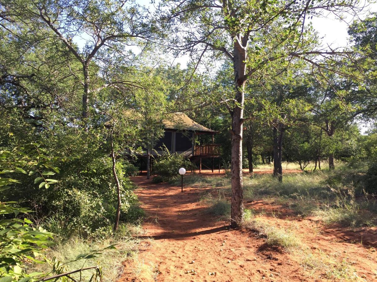 Iphofolo Lodge & Tented Camp Vivo Kültér fotó