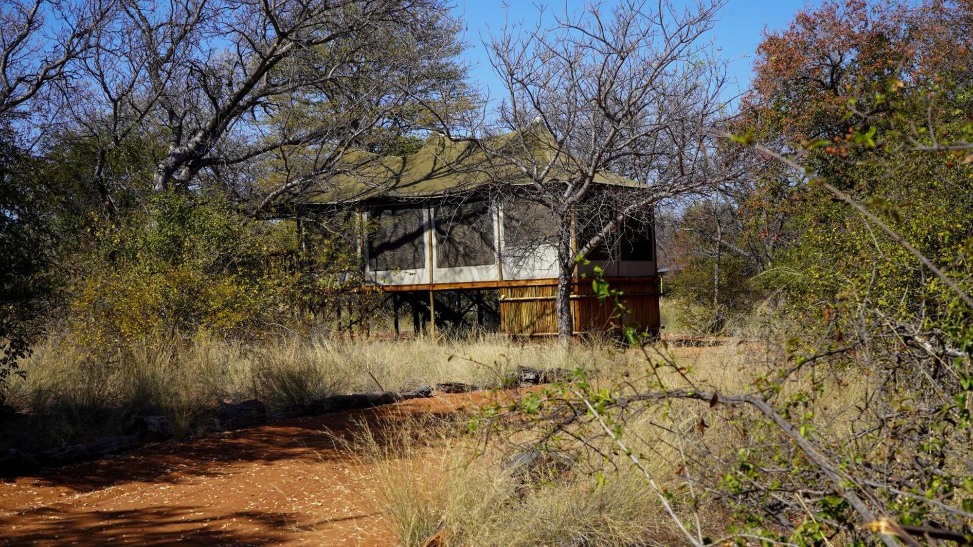 Iphofolo Lodge & Tented Camp Vivo Kültér fotó